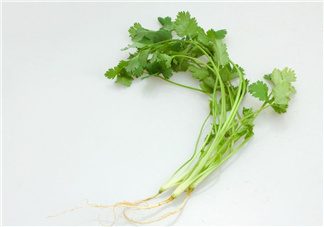 香菜根煮水能治濕疹嗎？香菜根煮水孕婦能喝嗎？