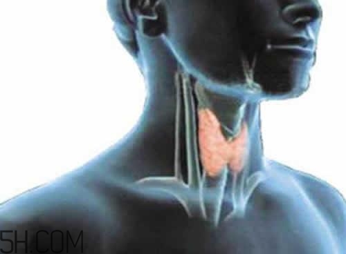 甲狀腺腫大和甲亢的區別有哪些？甲狀腺腫大適合吃什么食物？