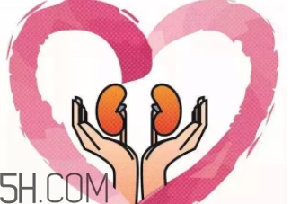 腎不好會(huì)早衰越長(zhǎng)越矮？護(hù)腎千金方早用早好