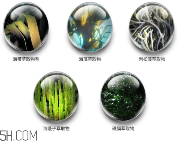 jmsolution珍珠面膜怎么用？jm珍珠珍珠面膜分為三部曲