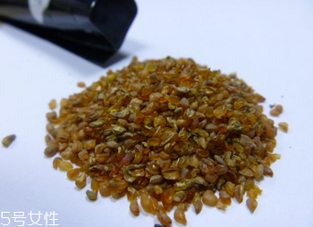 黑苦蕎茶苦嗎？苦蕎有苦卻不苦