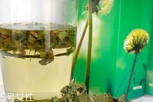 蒲公英茶哪些人不宜喝？這三種人要避開