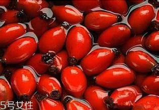 痘痘能用玫瑰果油嗎？愈合之后少量用
