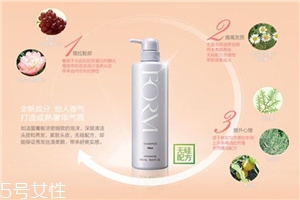 pola馥美修護洗發水價格 細軟油性發質的最愛