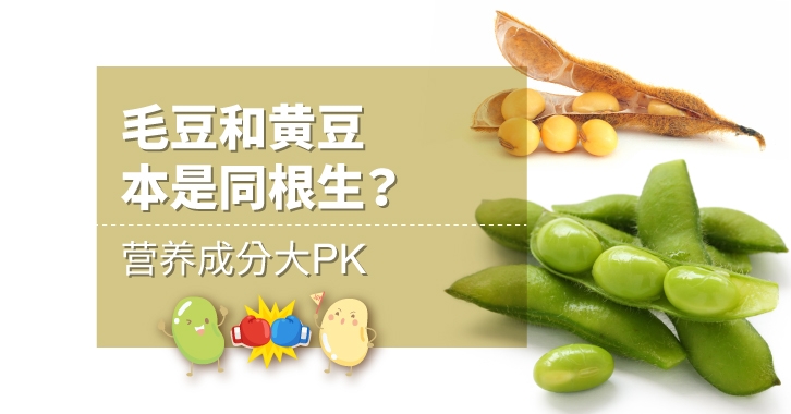 毛豆和黃豆一樣嗎 毛豆和黃豆哪個更營養