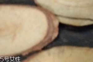 東革阿里是中藥嗎？東革阿里是什么？