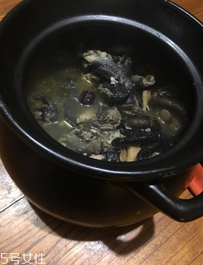 烏雞是公雞好還是母雞好？烏雞買公雞還是母雞？