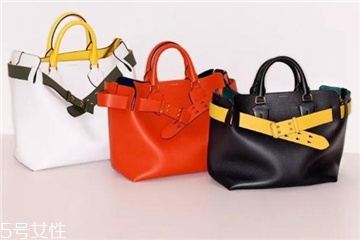 burberry the belt bag多少錢(qián)？巴寶莉貝爾特包專柜價(jià)格
