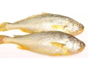 黃花魚清蒸多長時間？黃花魚清蒸的做法