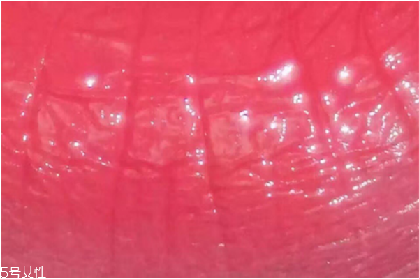 紀梵希口紅301是什么顏色 紀梵希口紅301試色