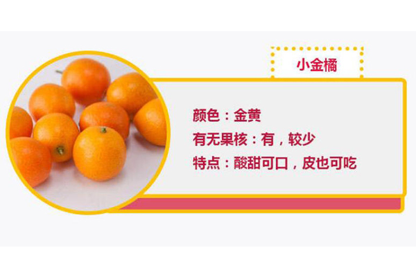 小金橘的皮可以吃嗎 小金橘的皮有什么營養