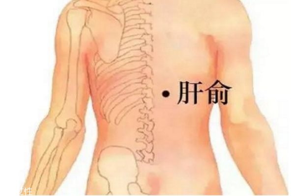 中醫教你按摩穴位形成養肝護肝的好習慣