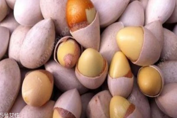 白果怎么吃不會中毒 藥用和食用白果的區別