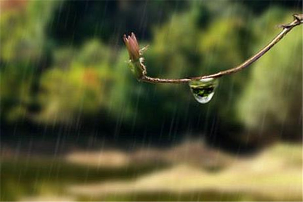 梅雨季節怎么防潮 梅雨季節防潮的方法