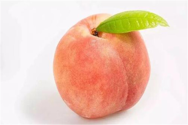桃子是什么性質的水果 桃子是什么類型的水果
