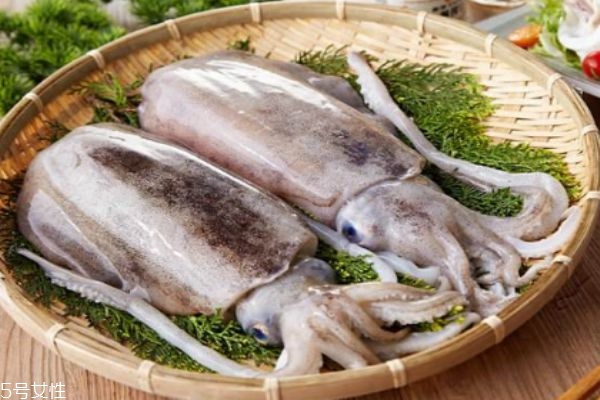 墨魚是魚嗎 墨魚有什么營養價值呢
