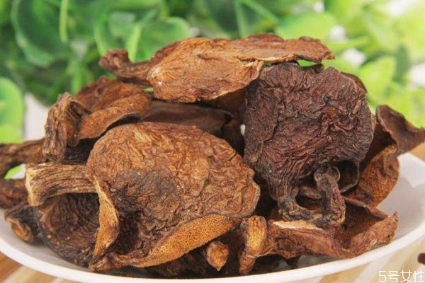 松蘑的生長環境是什么樣的