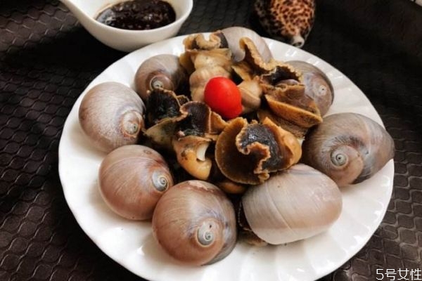 什么是香螺呢 香螺有什么營養價值呢