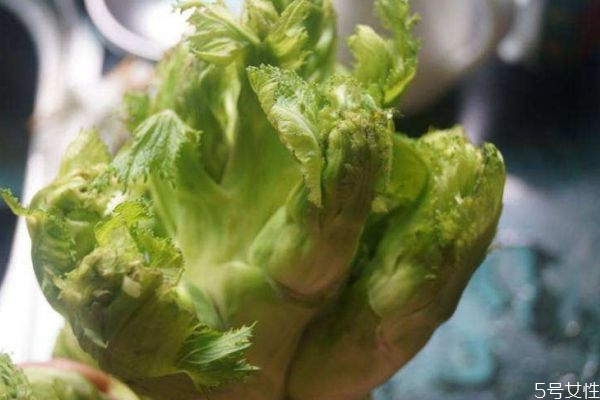 什么是兒菜呢 兒菜有什么營養價值呢