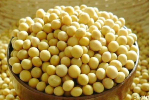 大豆有什么營養價值呢 吃大豆有什么好處呢