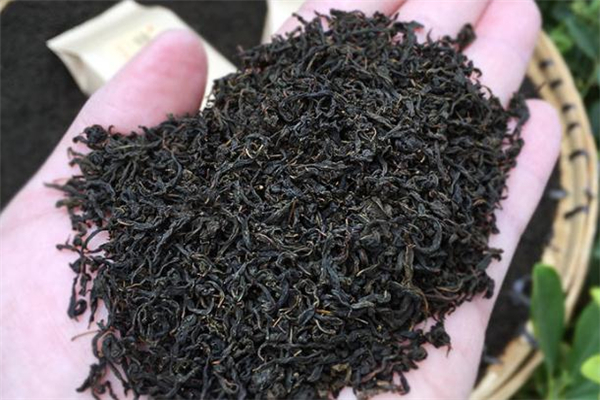 月經期間可以喝辣木茶嗎 辣木茶孕婦能喝嗎