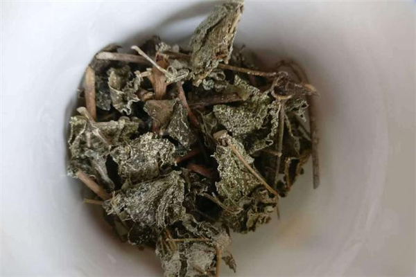 溪黃茶來月經可以喝嗎 孕婦可以喝溪黃茶嗎