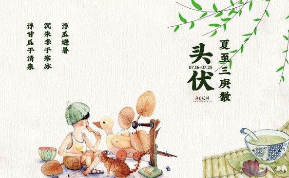 三伏天是什么？三伏天應注意什么？