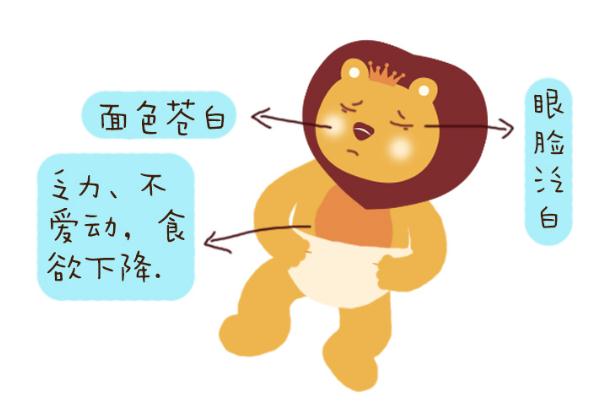 寶寶貧血有幾種類型 寶寶貧血會引起發燒嗎
