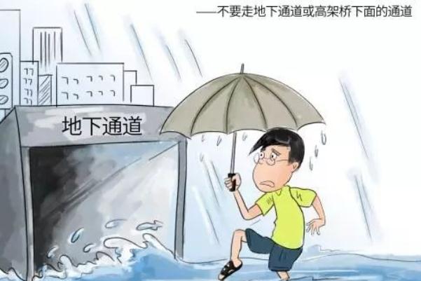 鄭州發(fā)暴雨預(yù)警后車(chē)停滿(mǎn)高架 暴雨應(yīng)急自救常識(shí)