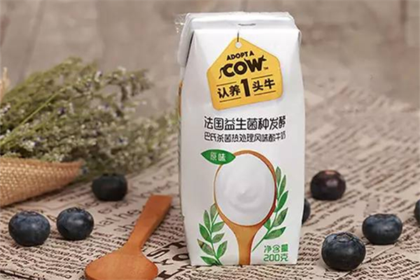 認養一頭牛有哪些產品 認養一頭牛多少錢一箱