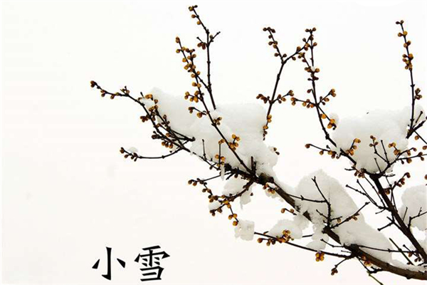 小雪是幾月幾日 小雪節氣的由來和風俗
