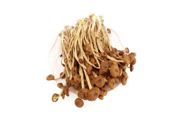茶樹菇對乳腺增生有好處嗎 茶樹菇吃了會(huì)胃脹嗎