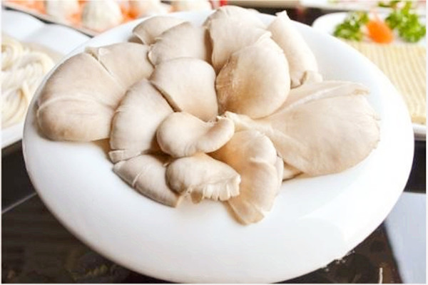 平菇發粘還能吃嗎 平菇背面長疙瘩能吃嗎