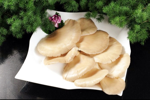 平菇發粘還能吃嗎 平菇背面長疙瘩能吃嗎