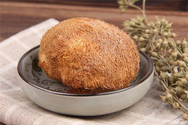 干猴頭菇怎么泡發最好 干猴頭菇要泡發多久