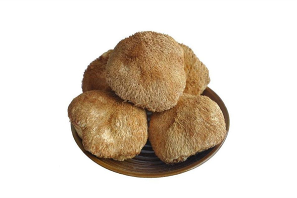 干猴頭菇怎么泡發最好 干猴頭菇要泡發多久