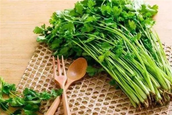 香菜是什么季節的菜 香菜是涼性還是熱性