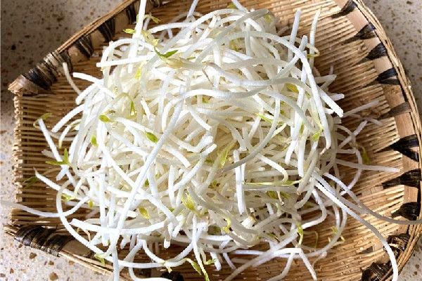 綠豆芽有點苦怎么回事 綠豆芽發苦還能吃嗎