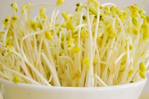 綠豆芽和黃豆芽哪個營養價值高 綠豆芽和黃豆芽區別