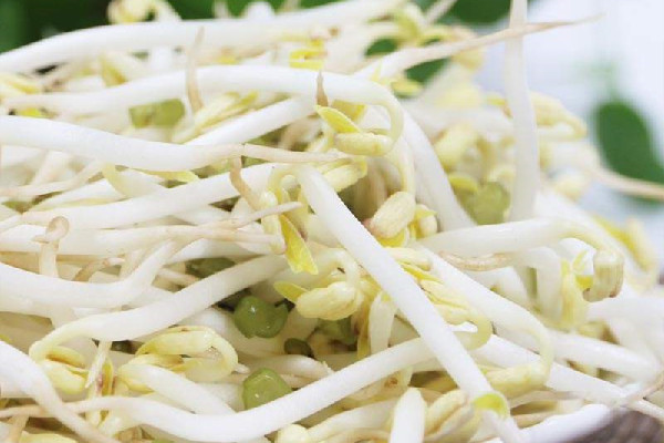 綠豆芽和黃豆芽哪個營養價值高 綠豆芽和黃豆芽區別