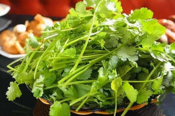 香菜屬于發物類嗎 香菜根可以吃嗎