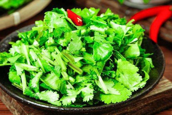 香菜的營養價值有哪些 香菜不適合什么人吃