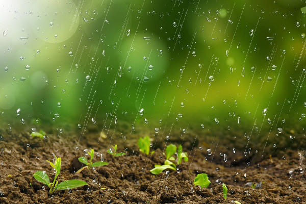 雨水節氣一定會下雨嗎 雨水節氣有什么說法