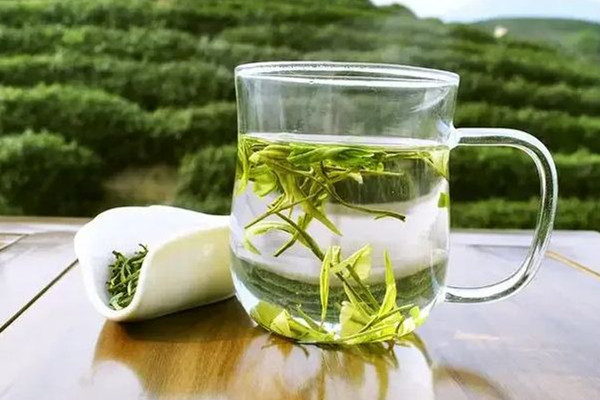 明前茶和明后茶有什么區別 明前茶是不是越早越好