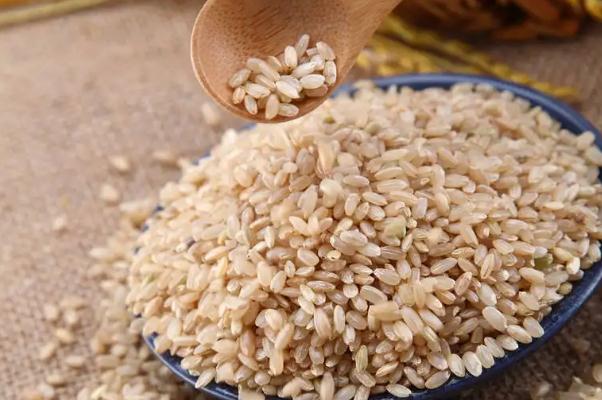 糙米和大米的區別 糙米要泡多久才能煮飯