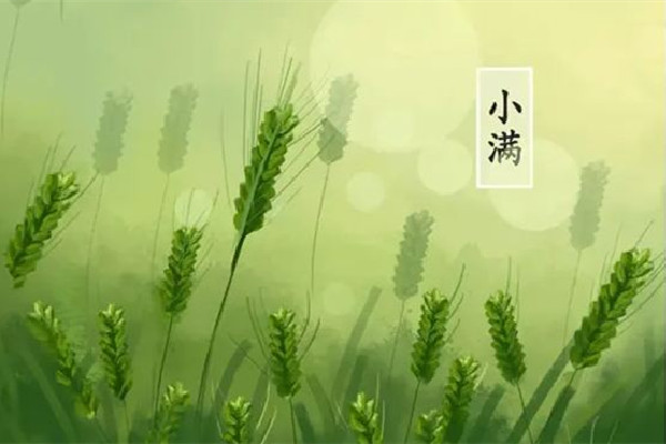 小滿可以剪頭發嗎 小滿理發好嗎