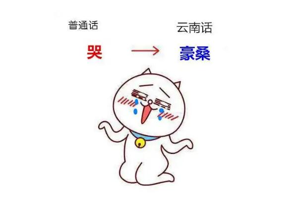 云南方言屬于哪個方言區 云南方言老瓦抓是什么意思