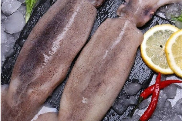 新鮮魷魚和泡發魷魚的區別 新鮮魷魚買大的好還是小的好