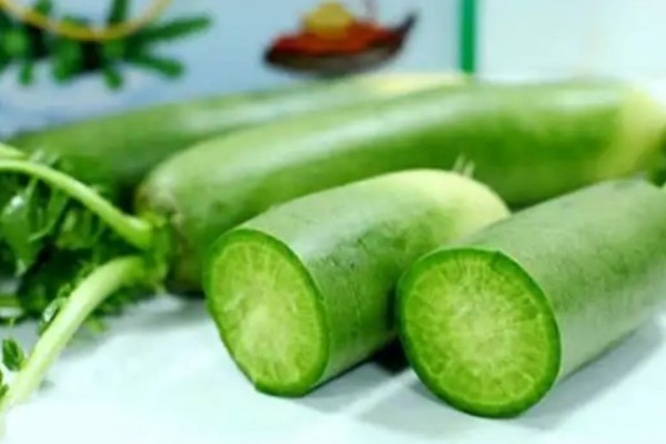 綠蘿卜是什么季節的蔬菜 綠蘿卜是什么味道的